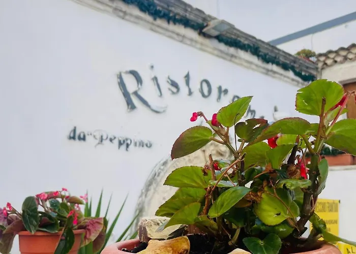 別荘 Casa Frascolla *